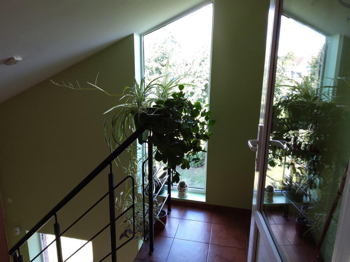 Apartamentai Geguciu Gatveje クライペダ エクステリア 写真